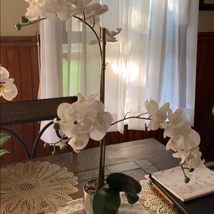 Meet your Posher, Claudia